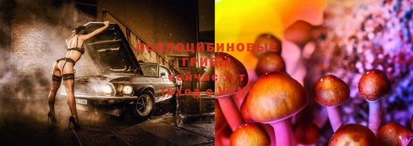 соль курить ск Волосово