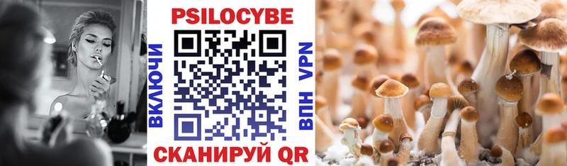 купить наркотики цена  Высоковск  Псилоцибиновые грибы Psilocybe 